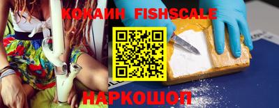 индика Будённовск