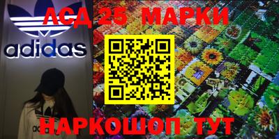 индика Будённовск