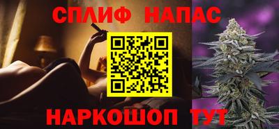 индика Будённовск