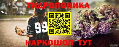 индика Будённовск
