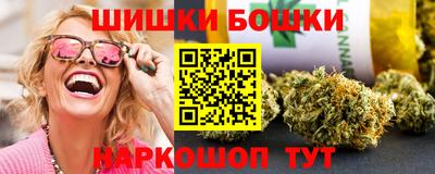 индика Будённовск