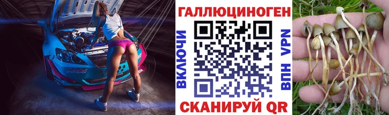 Галлюциногенные грибы мицелий  гидра ONION  Заинск 