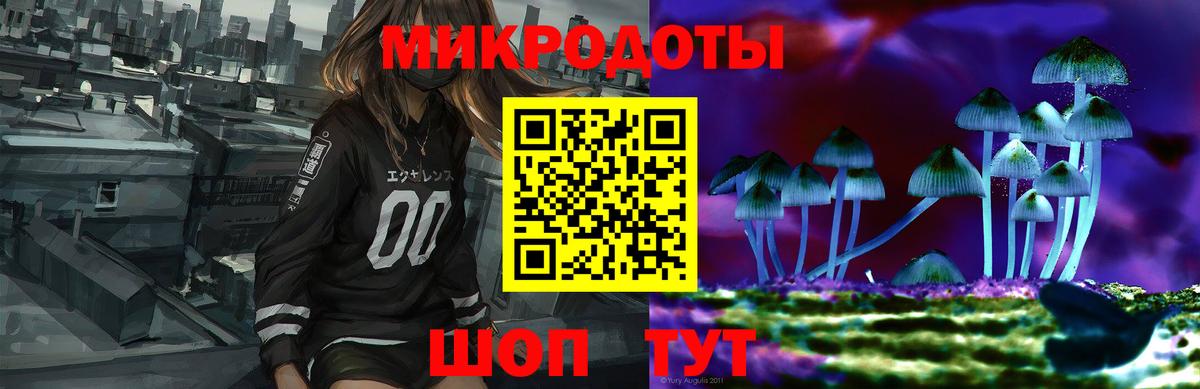 Псилоцибиновые грибы Psilocybe  Вход с VPN  Заинск  Псилоцибиновые грибы GOLDEN TEACHER 