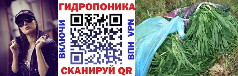 купить наркотик  Заинск  сайты даркнета клад  Шишки марихуана индика 